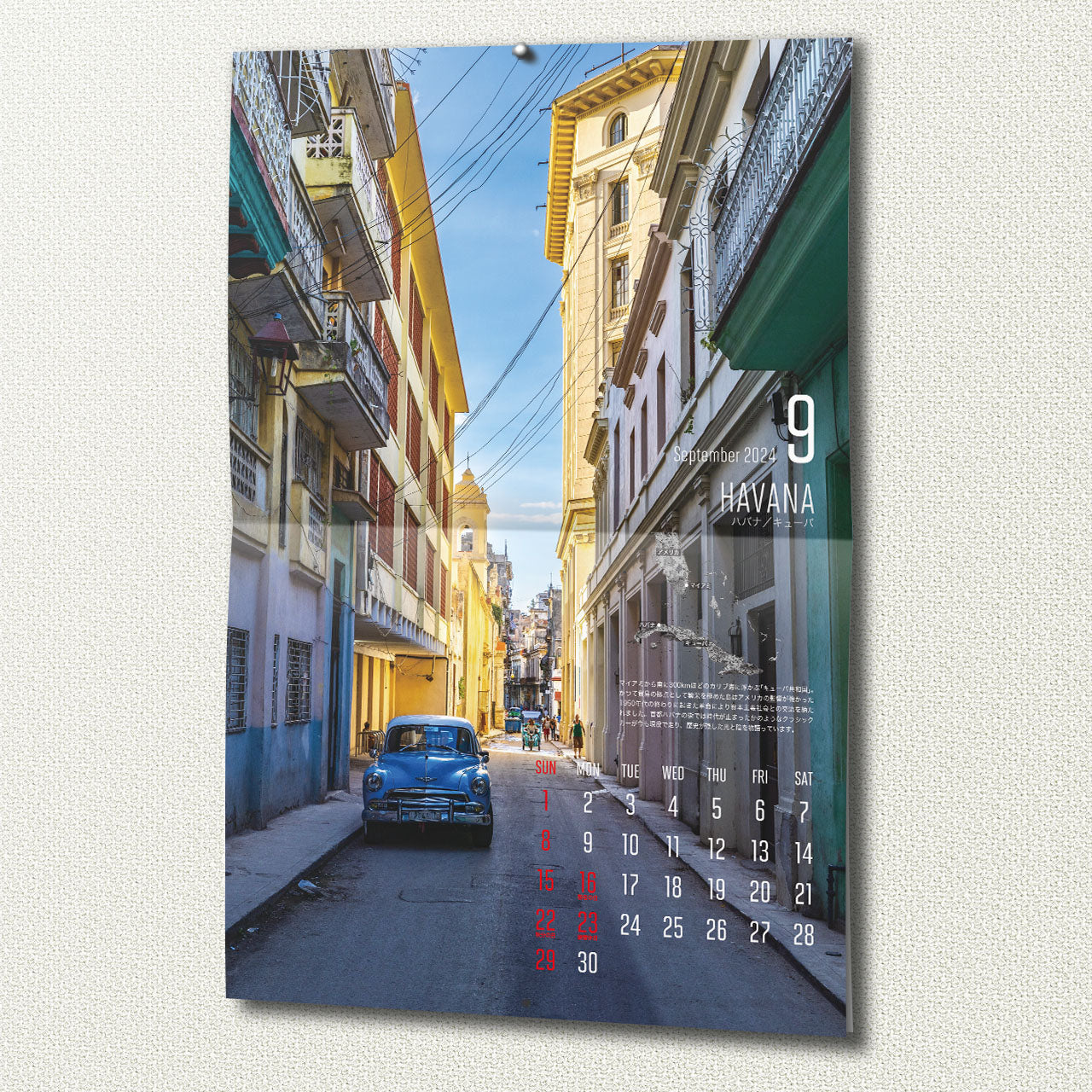 マップワールドカレンダー 2024(送料330円)壁掛け用A3サイズ12ヶ月