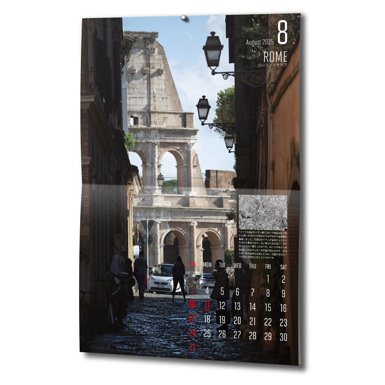 マップワールドカレンダー 2025 壁掛け用A3サイズ12ヶ月