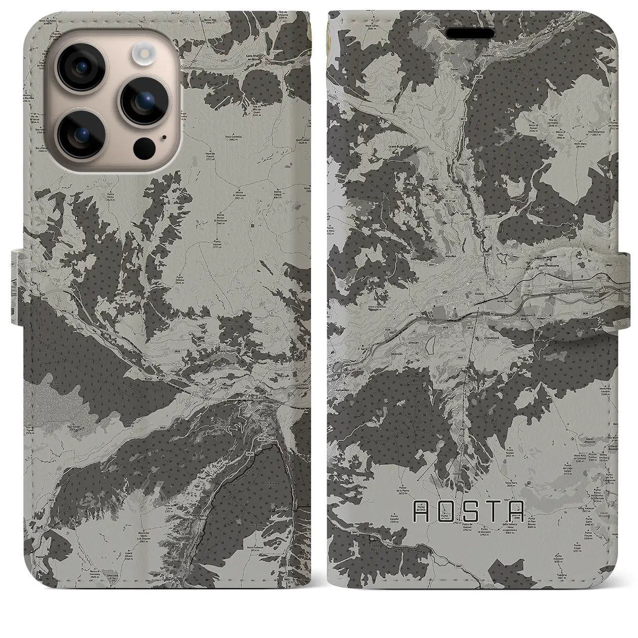 【アオスタ(イタリア)】地図柄iPhoneケース(手帳タイプ)モノトーン・iPhone 16 Plus 用