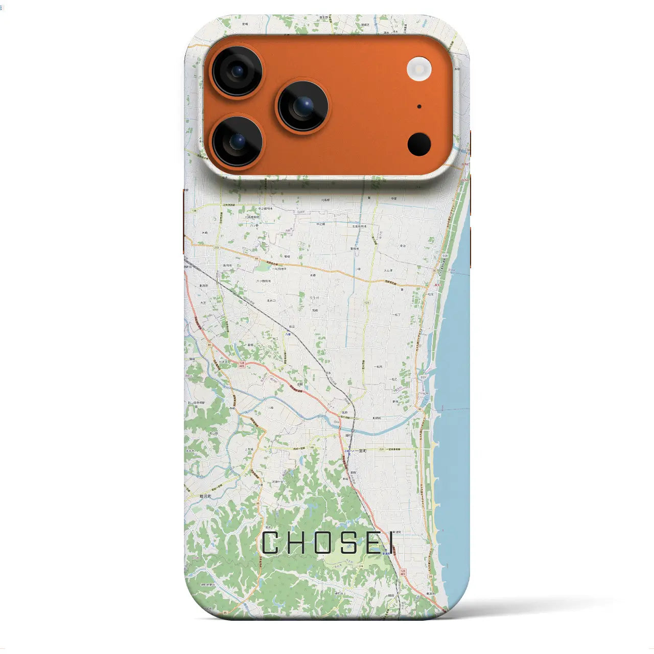 【長生(千葉県)】地図柄iPhoneケース(バックカバータイプ)