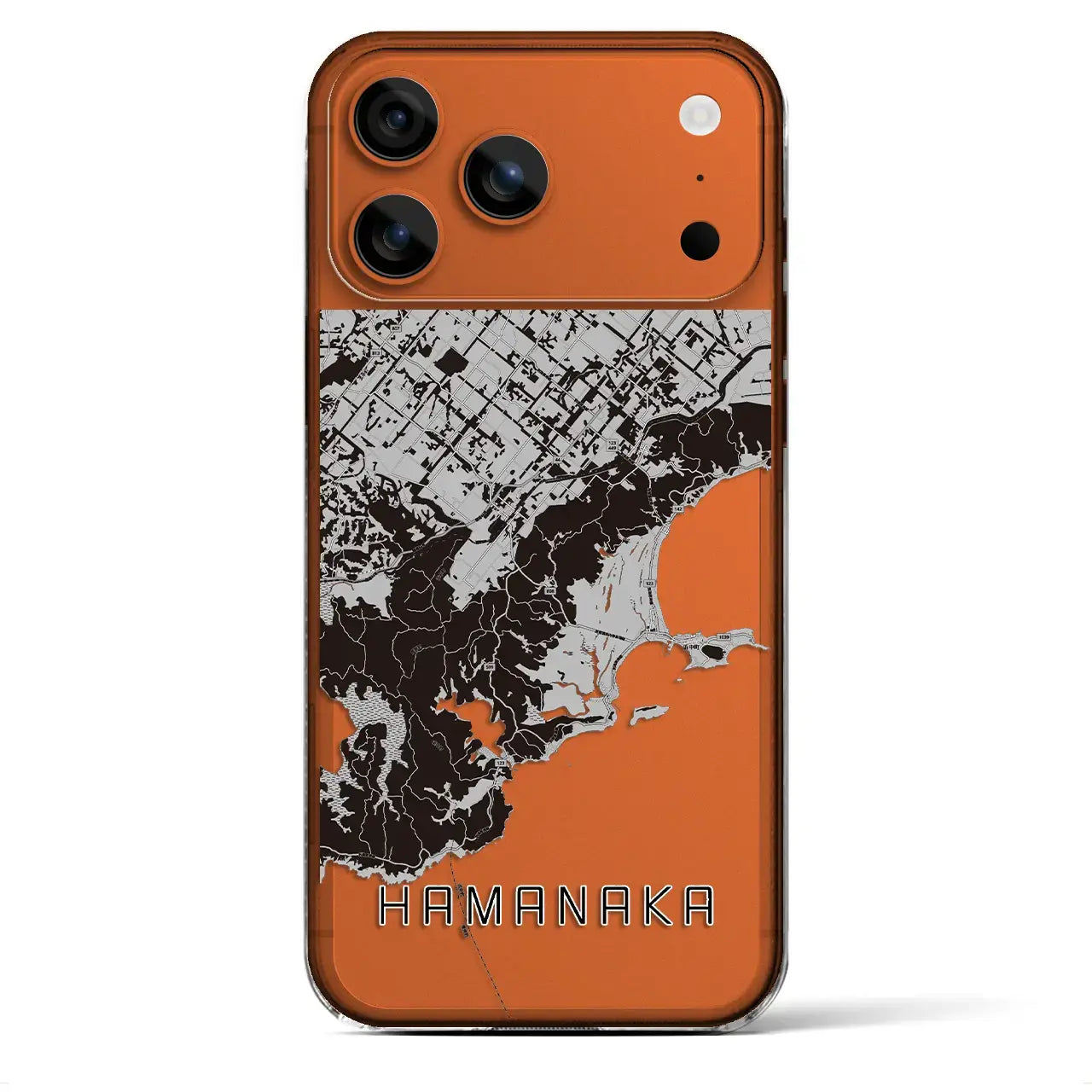 【浜中(北海道)】地図柄iPhoneケース(クリアタイプ)モノトーン・iPhone 17 Pro Max 用