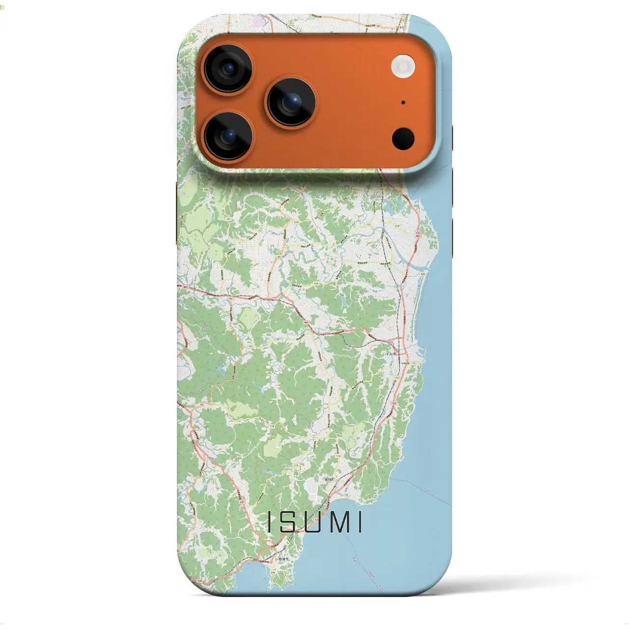 【いすみ(千葉県)】地図柄iPhoneケース(バックカバータイプ)ブラック・iPhone 17 Pro Max 用