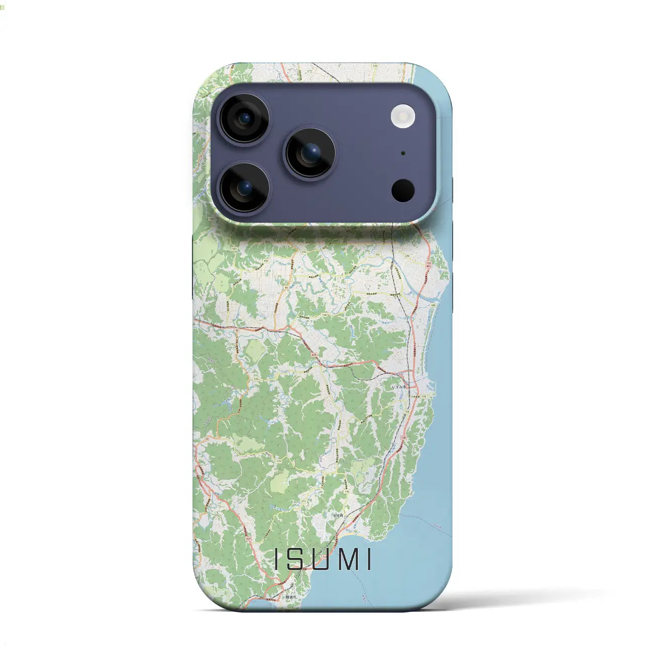 【いすみ(千葉県)】地図柄iPhoneケース(バックカバータイプ)ナチュラル・iPhone 17 Pro Max 用