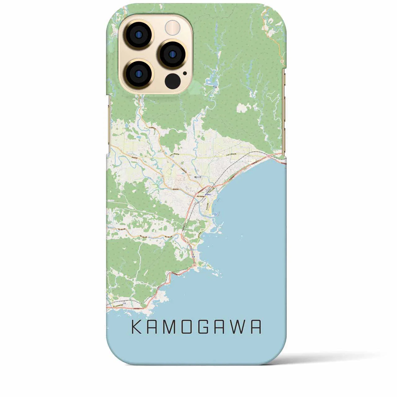 【鴨川(千葉県)】地図柄iPhoneケース(バックカバータイプ)