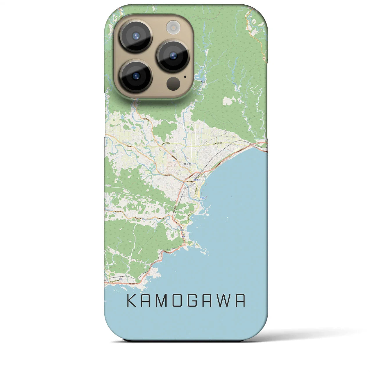 【鴨川(千葉県)】地図柄iPhoneケース(バックカバータイプ)