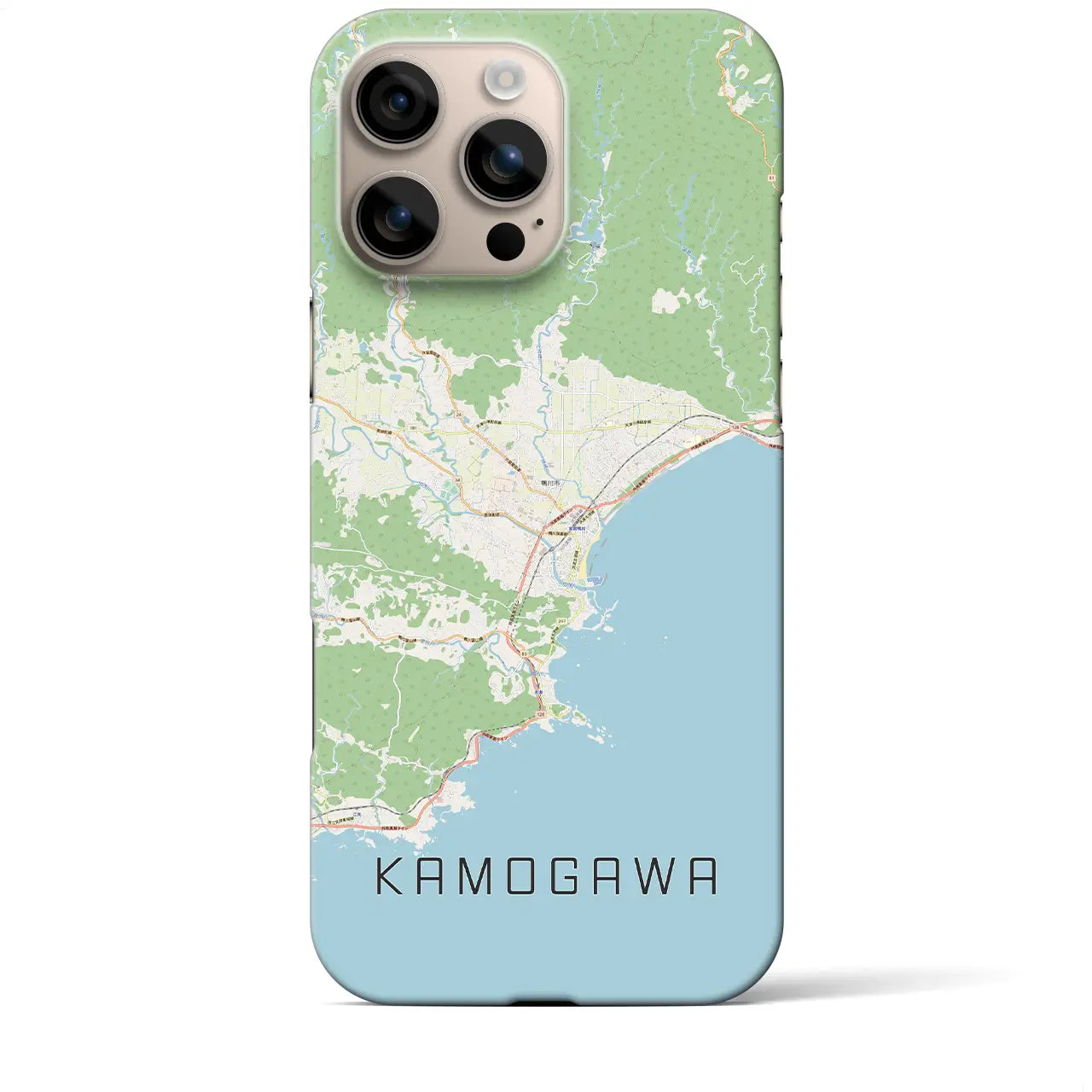【鴨川(千葉県)】地図柄iPhoneケース(バックカバータイプ)