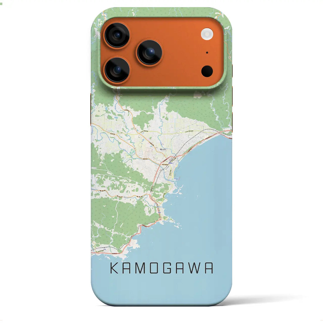 【鴨川(千葉県)】地図柄iPhoneケース(バックカバータイプ)ブラック・iPhone 17 Pro Max 用