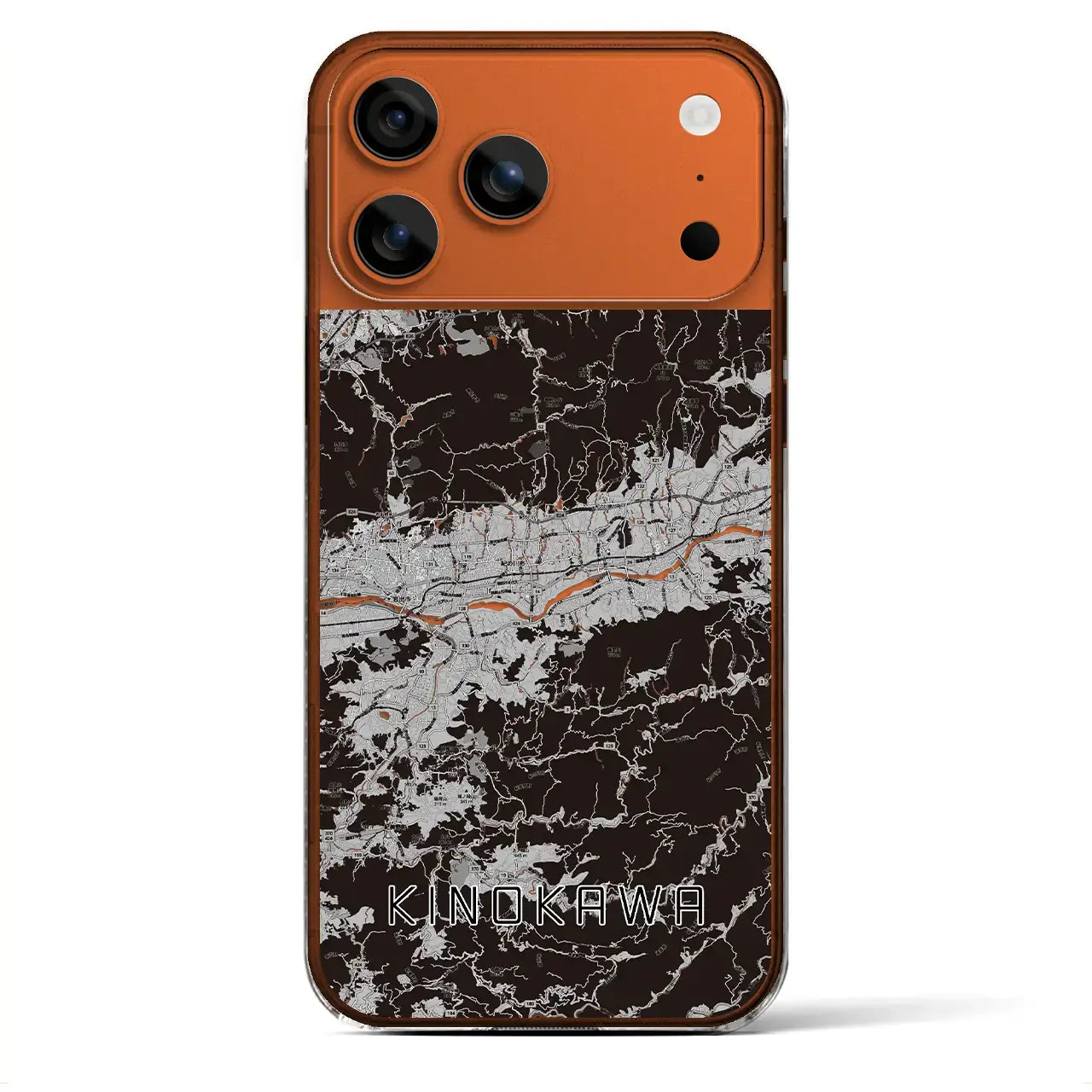 【紀の川(和歌山県)】地図柄iPhoneケース(クリアタイプ)モノトーン・iPhone 17 Pro Max 用