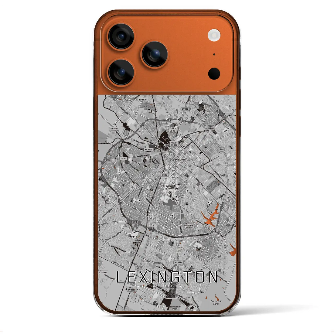 【レキシントン(アメリカ)】地図柄iPhoneケース(クリアタイプ)モノトーン・iPhone 17 Pro Max 用