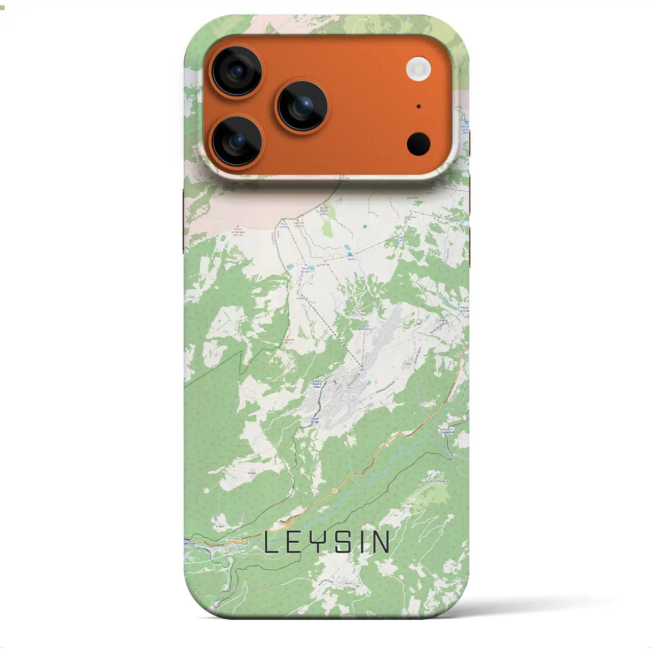 【レザン(スイス)】地図柄iPhoneケース(バックカバータイプ)ブラック・iPhone 17 Pro Max 用