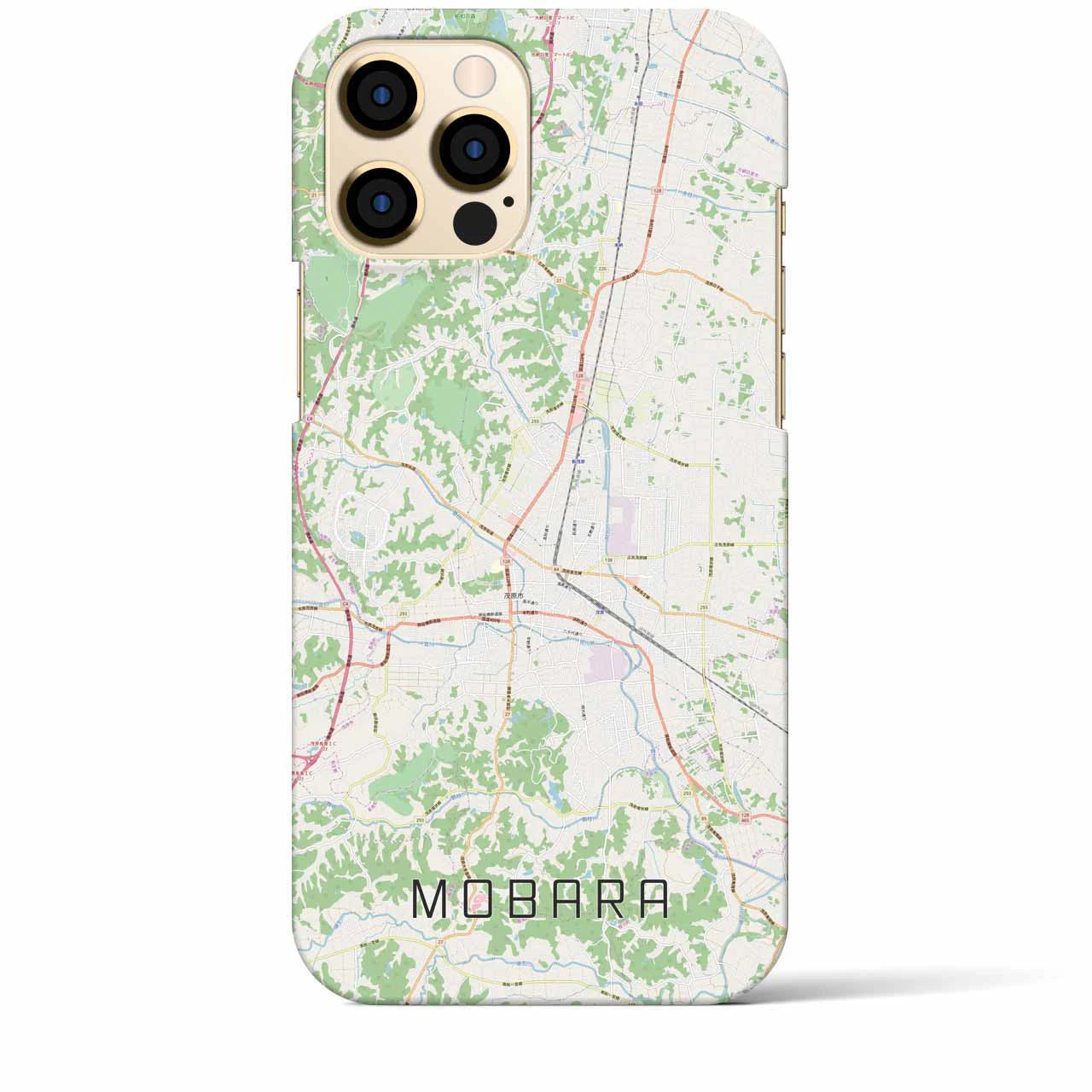 【茂原(千葉県)】地図柄iPhoneケース(バックカバータイプ)ナチュラル・iPhone 12 Pro Max 用