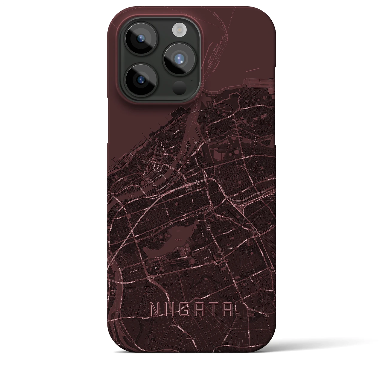 【新潟(新潟県)】バレンタイン限定iPhoneケース(バックカバータイプ)