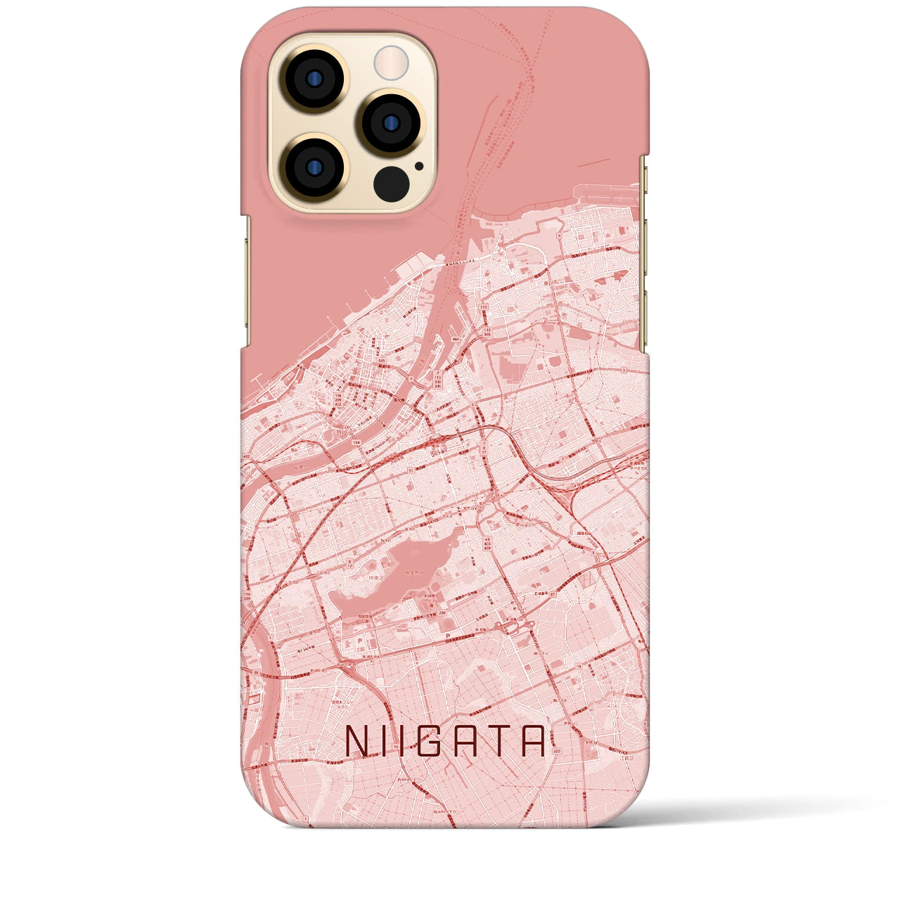 【新潟(新潟県)】バレンタイン限定iPhoneケース(バックカバータイプ)