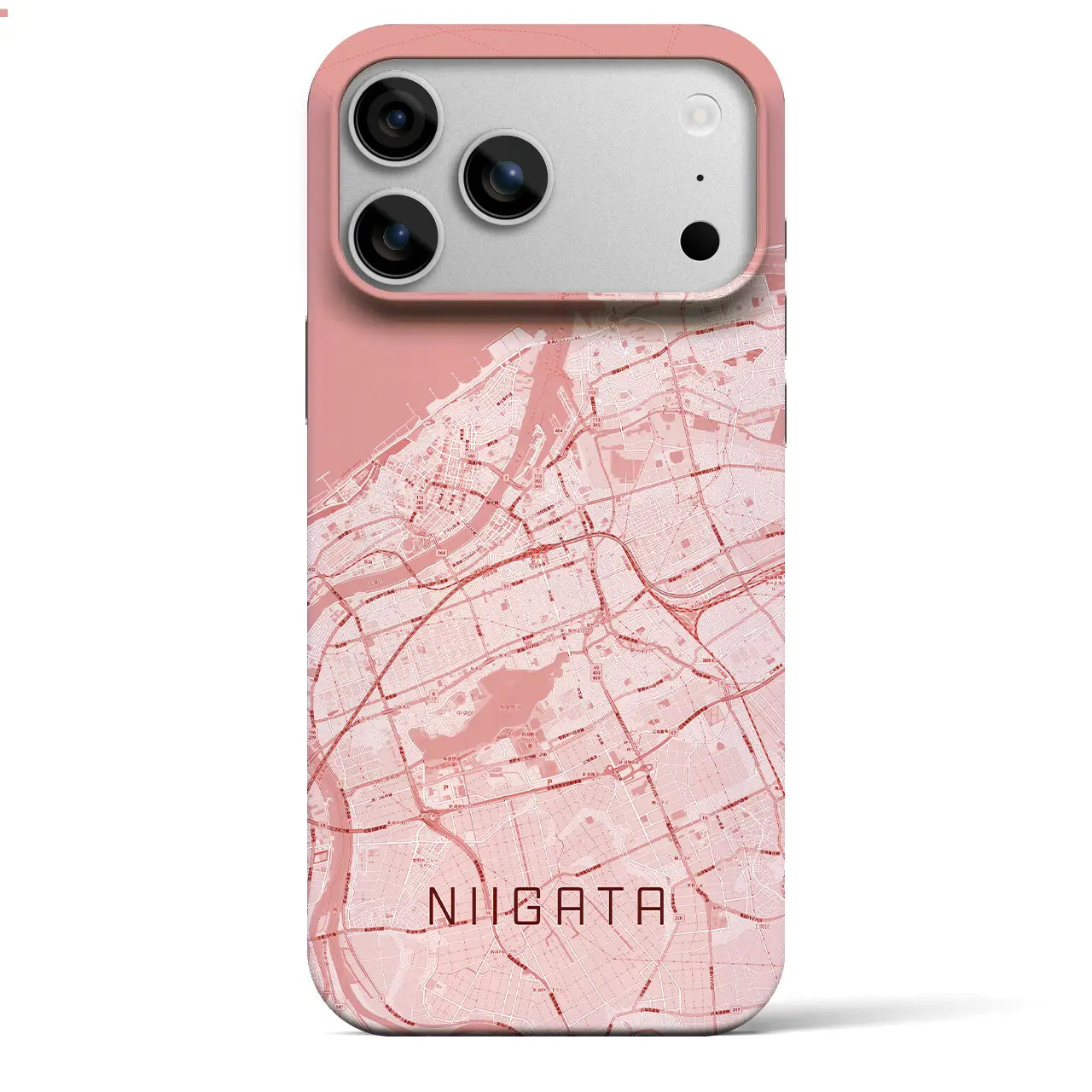 【バレンタイン限定 新潟(新潟県)】バレンタイン限定iPhoneケース(バックカバータイプ)ビター・iPhone 17 Pro Max 用