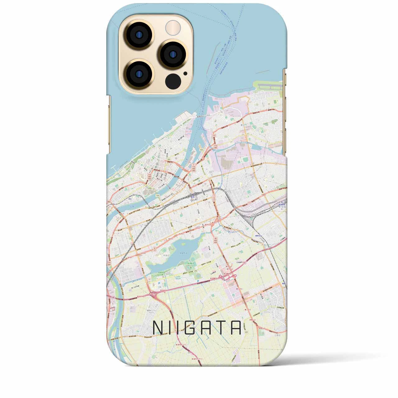 【新潟(新潟県)】地図柄iPhoneケース(バックカバータイプ)