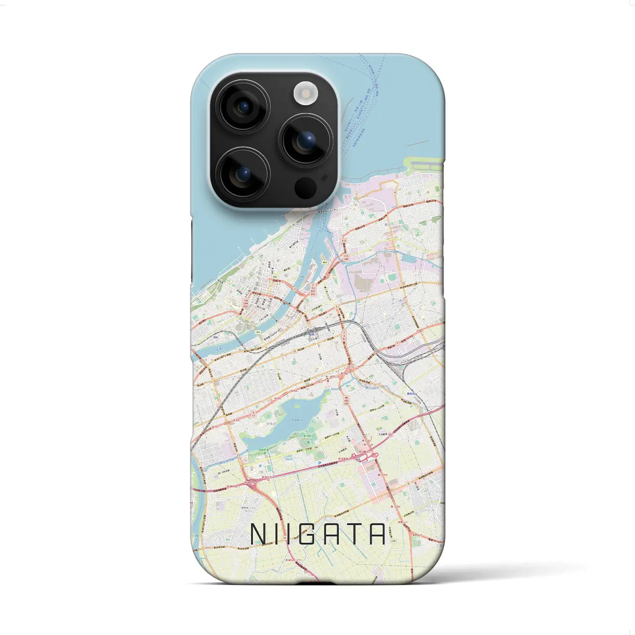【新潟(新潟県)】地図柄iPhoneケース(バックカバータイプ)