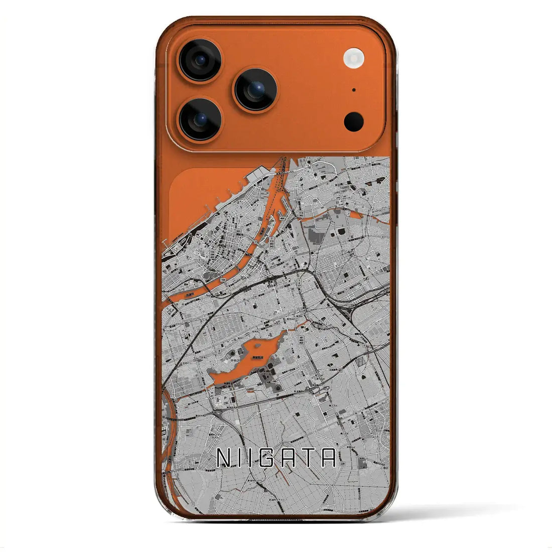 【新潟(新潟県)】地図柄iPhoneケース(クリアタイプ)