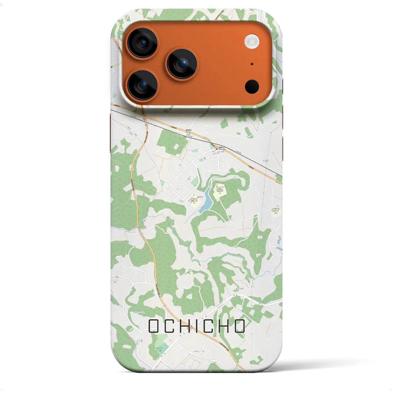 【越智町(千葉県)】地図柄iPhoneケース(バックカバータイプ)ナチュラル・iPhone 17 Pro Max 用