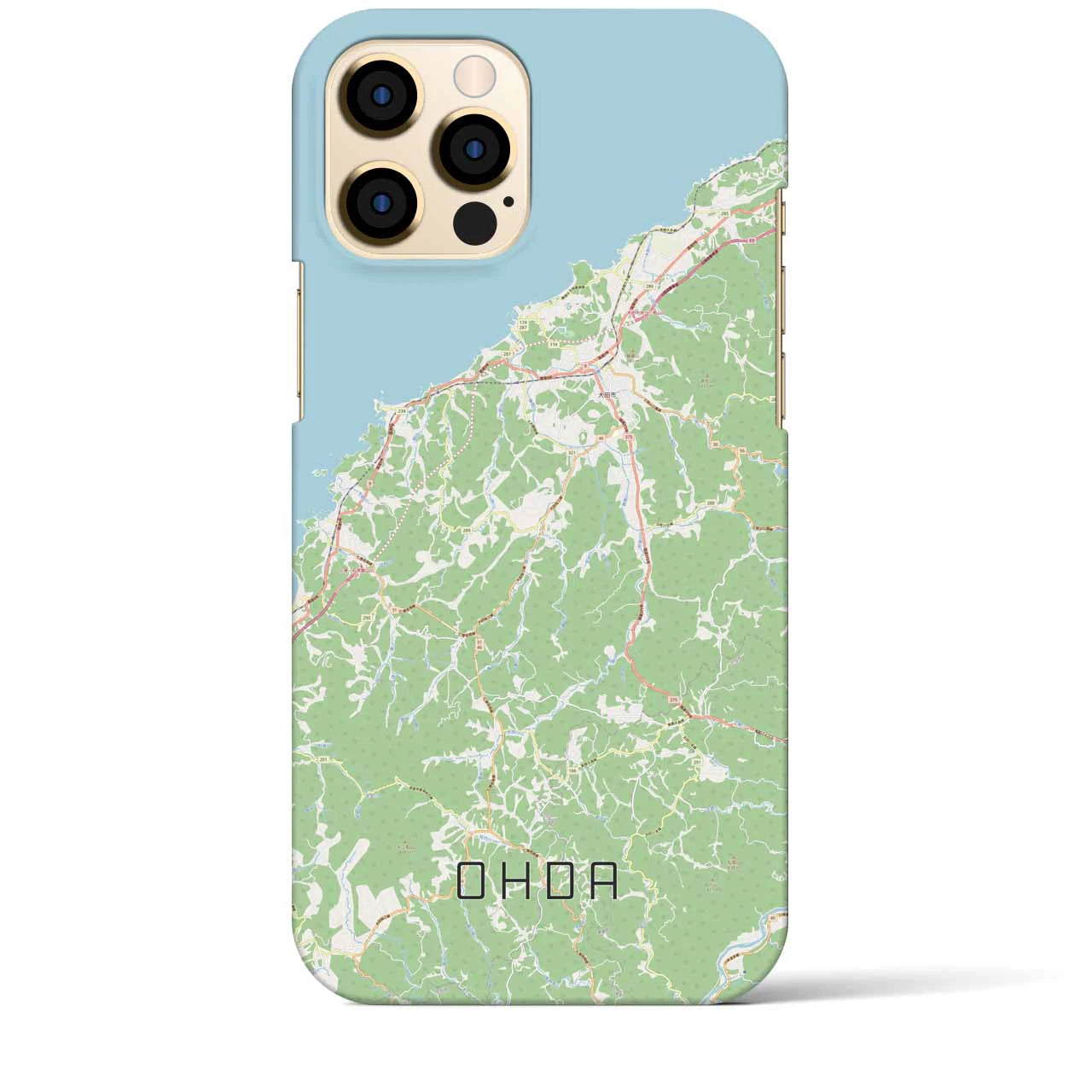 【大田(島根県)】地図柄iPhoneケース(バックカバータイプ)