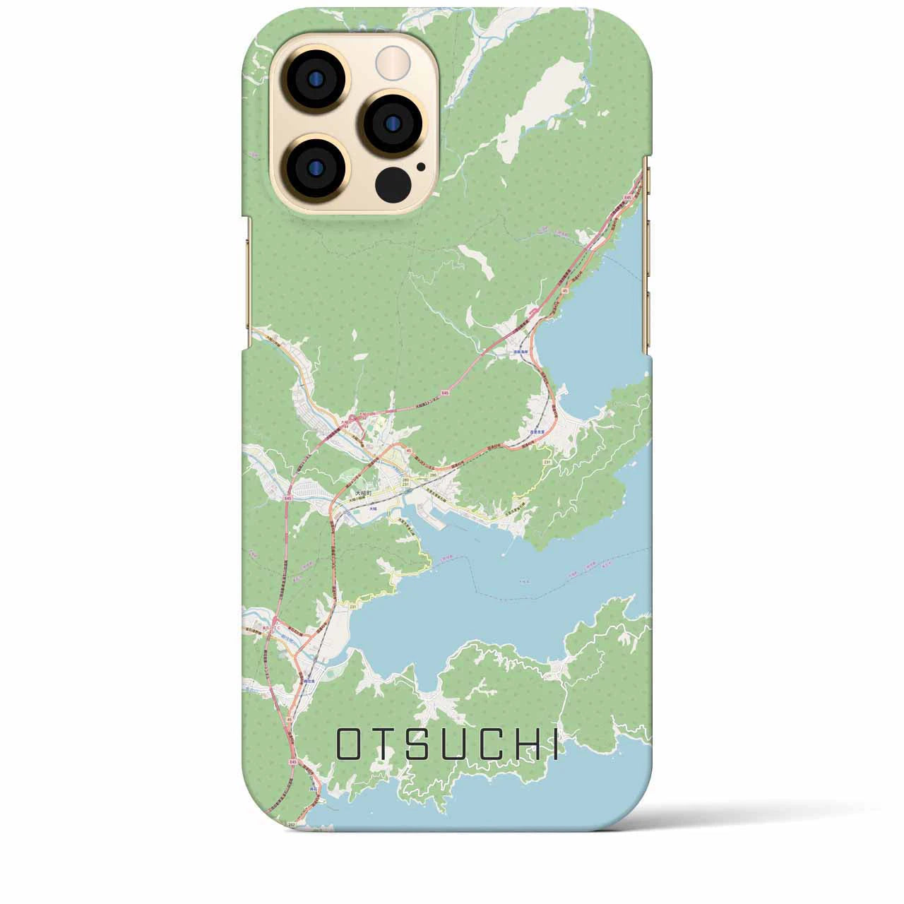 【大槌(岩手県)】地図柄iPhoneケース(バックカバータイプ)