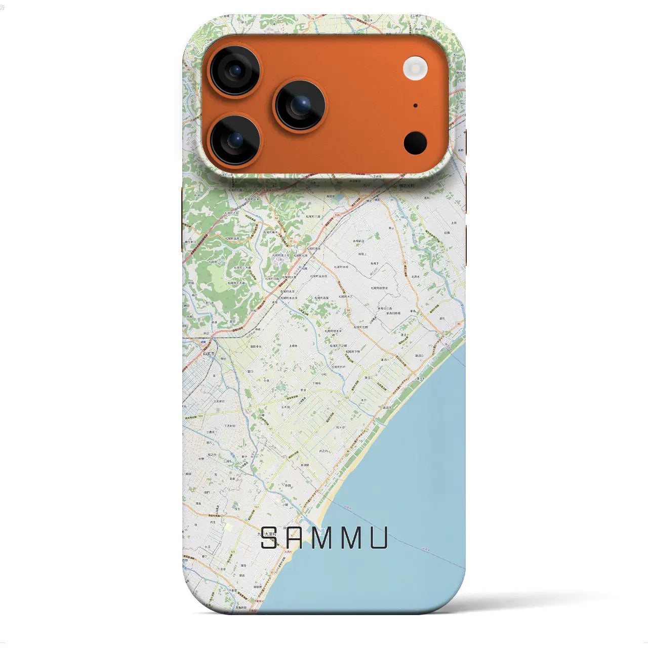 【山武(千葉県)】地図柄iPhoneケース(バックカバータイプ)ナチュラル・iPhone 17 Pro Max 用