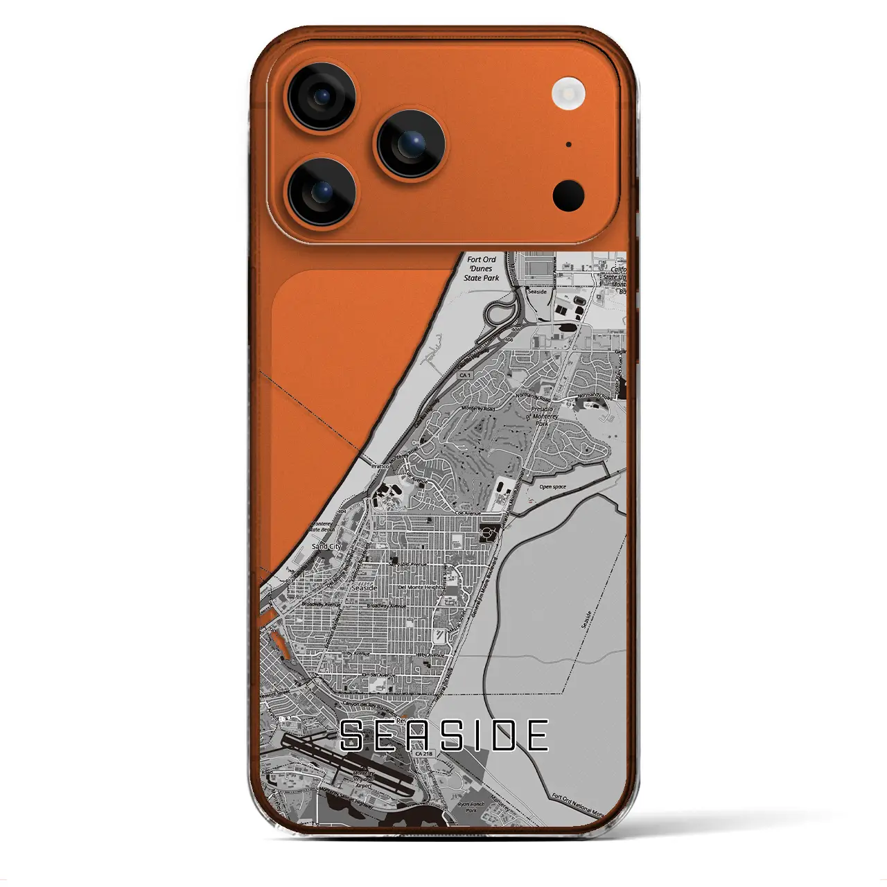 【シーサイド(アメリカ)】地図柄iPhoneケース(クリアタイプ)モノトーン・iPhone 17 Pro Max 用