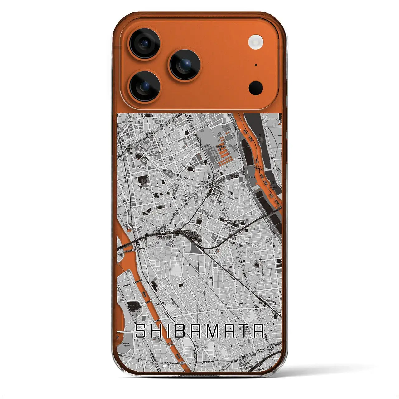 【柴又(東京都)】地図柄iPhoneケース(クリアタイプ)モノトーン・iPhone 17 Pro Max 用