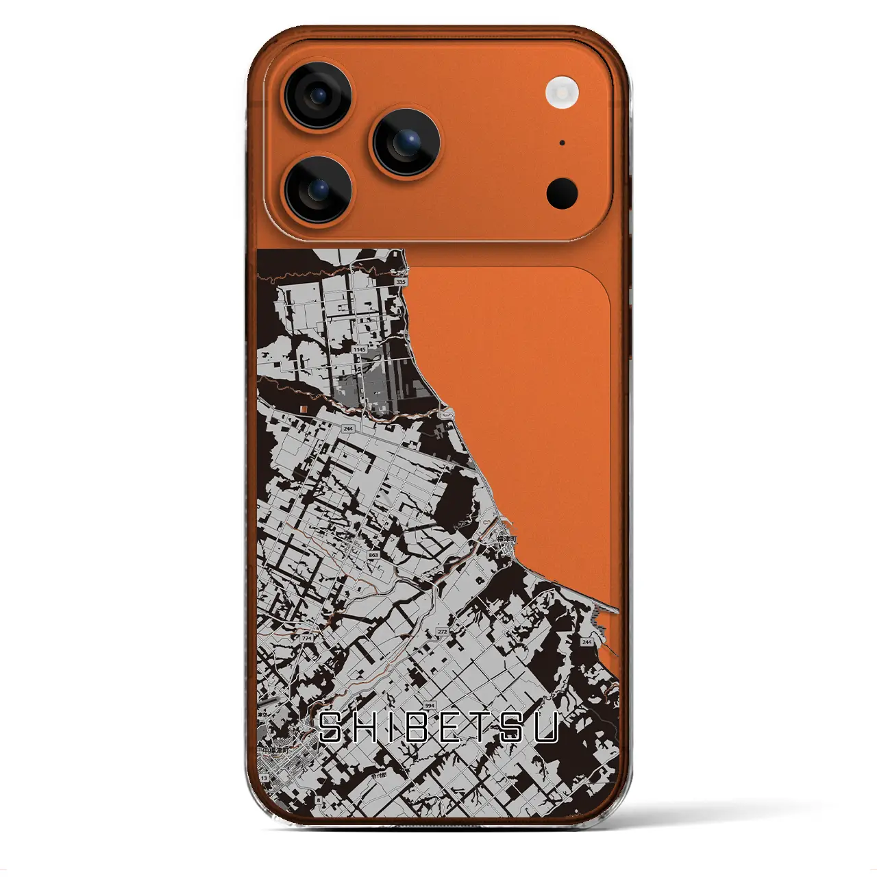 【標津(北海道)】地図柄iPhoneケース(クリアタイプ)モノトーン・iPhone 17 Pro Max 用