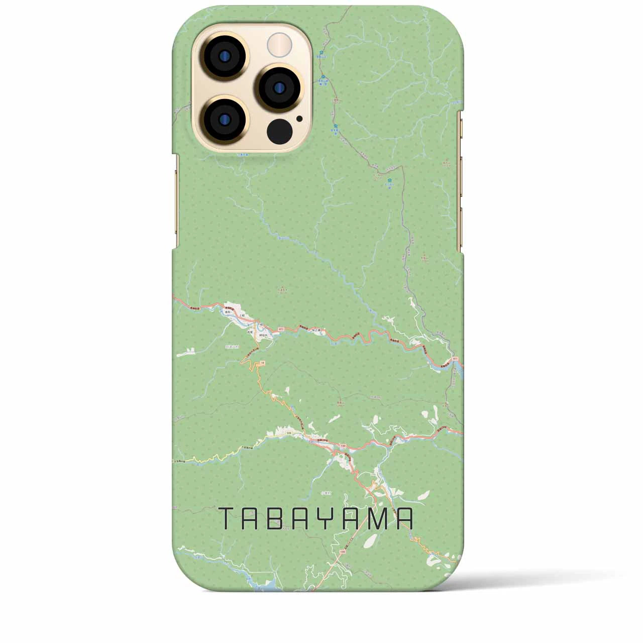 【丹波山(山梨県)】地図柄iPhoneケース(バックカバータイプ)