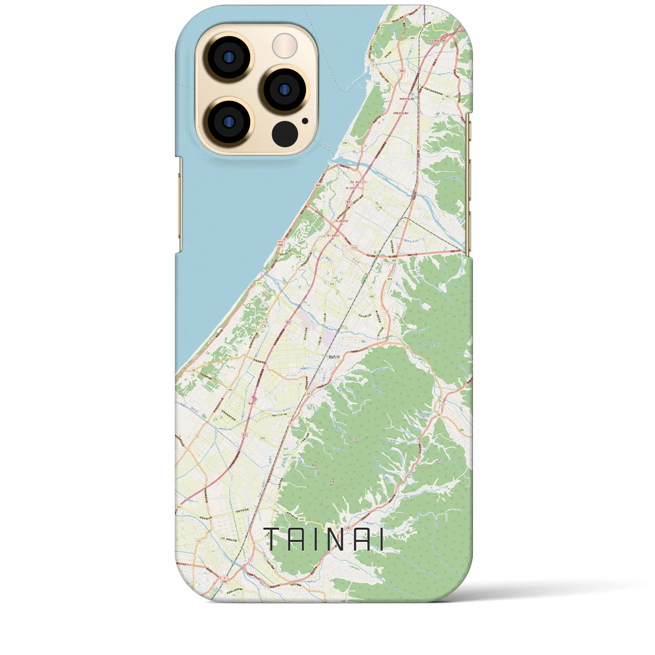 【胎内(新潟県)】地図柄iPhoneケース(バックカバータイプ)