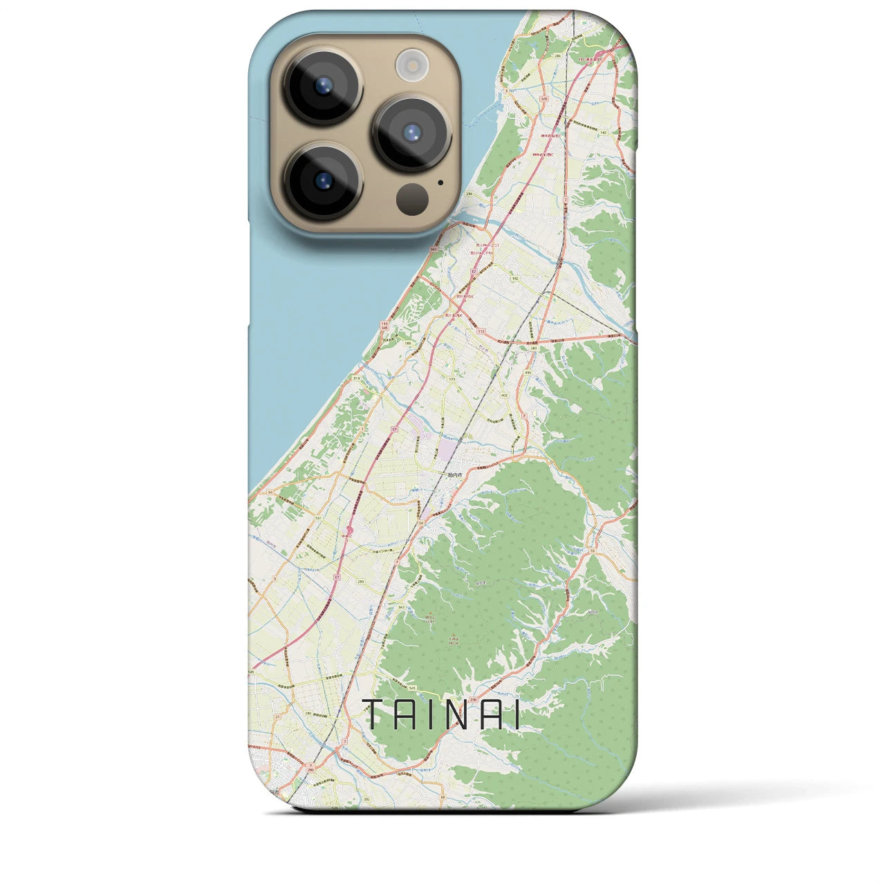 【胎内(新潟県)】地図柄iPhoneケース(バックカバータイプ)