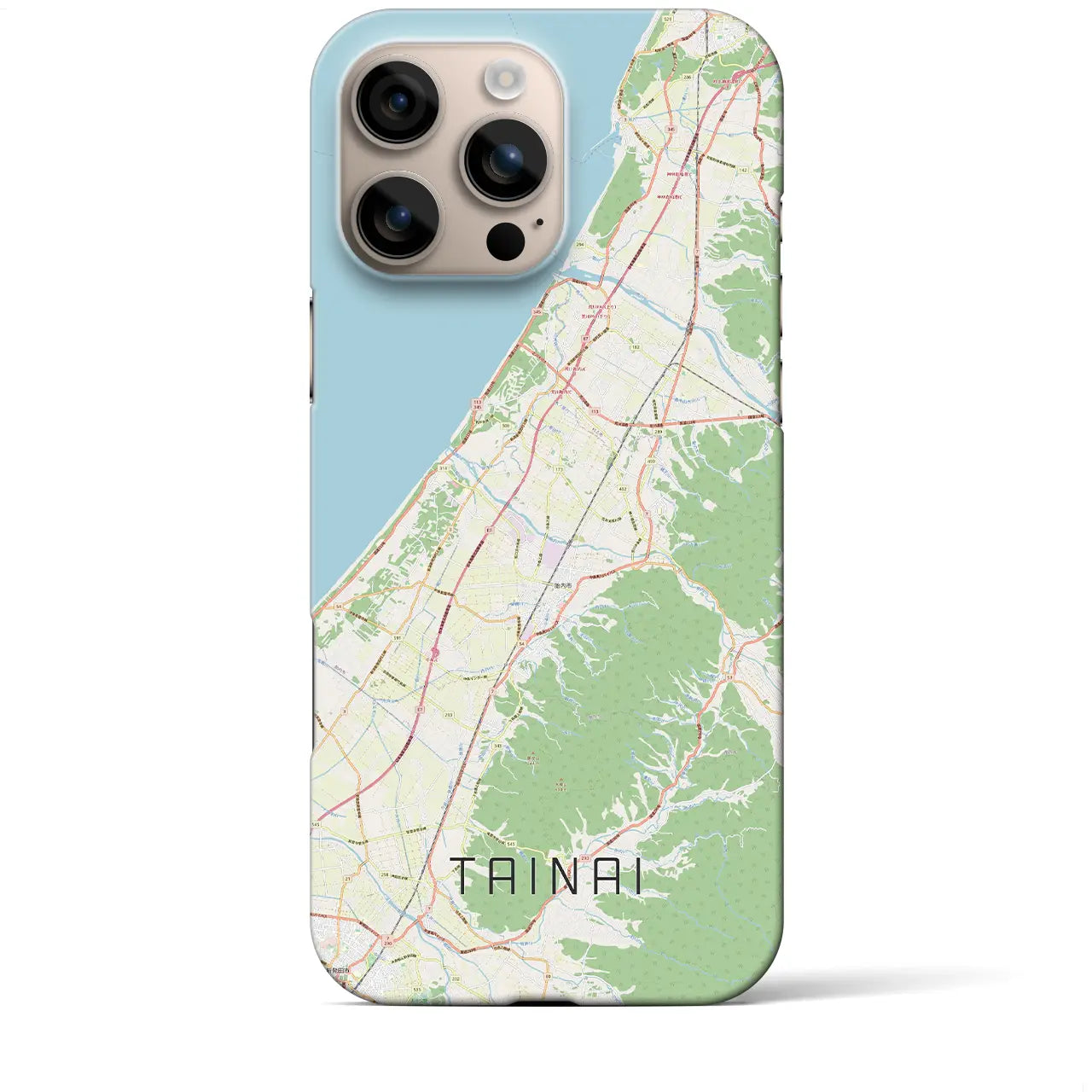 【胎内(新潟県)】地図柄iPhoneケース(バックカバータイプ)