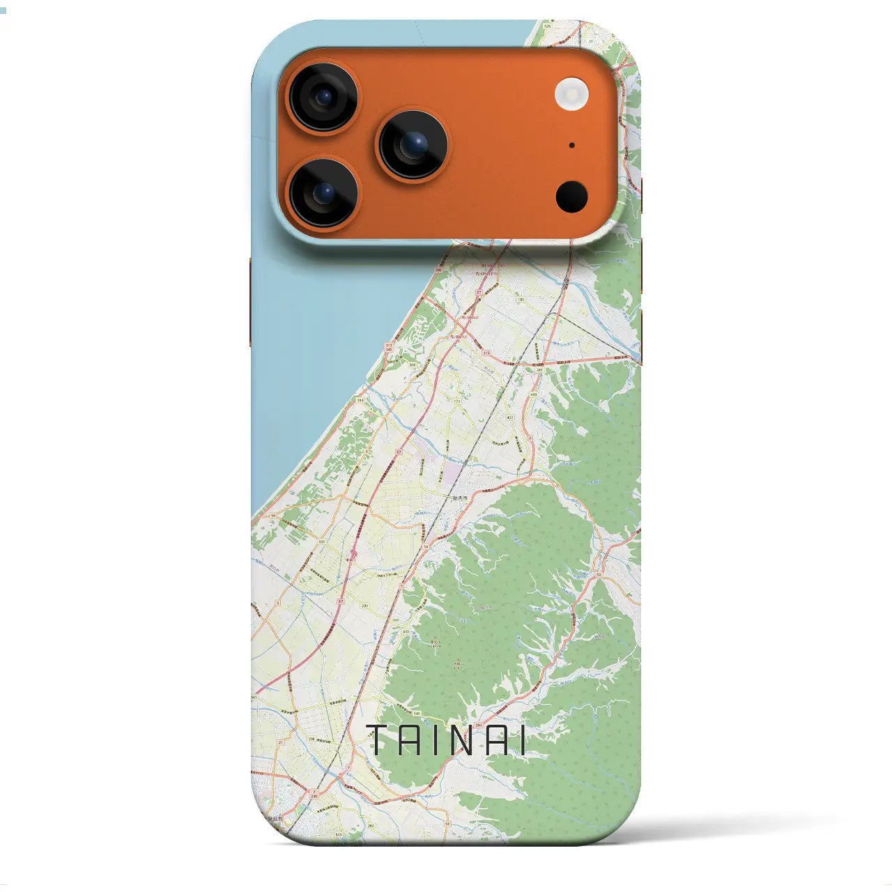 【胎内(新潟県)】地図柄iPhoneケース(バックカバータイプ)