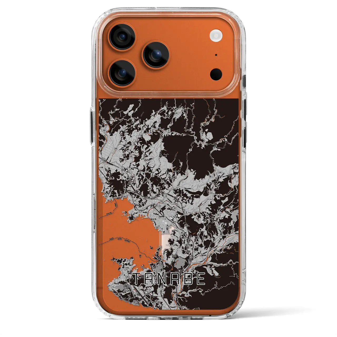 【田辺(和歌山県)】地図柄iPhoneケース(MagSafeタイプ)