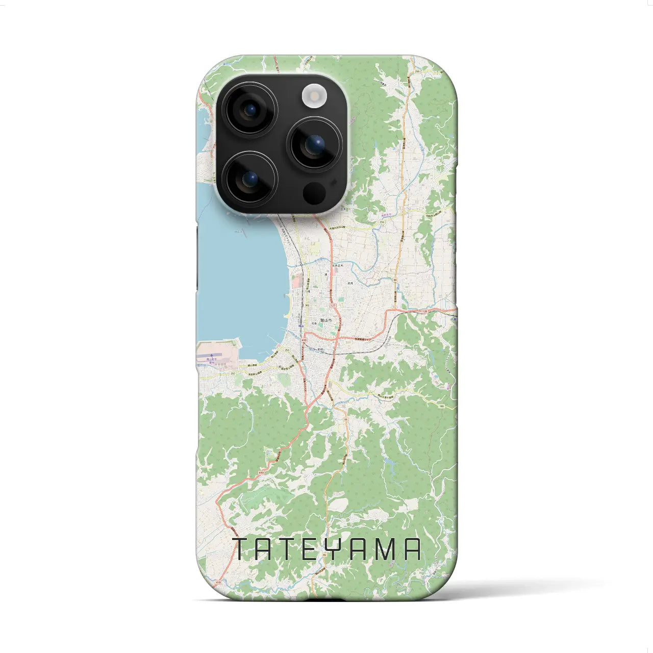 【館山(千葉県)】地図柄iPhoneケース(バックカバータイプ)