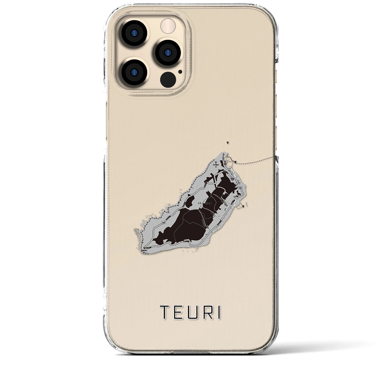 【天売(北海道)】地図柄iPhoneケース(クリアタイプ)モノトーン・iPhone 12 Pro Max 用