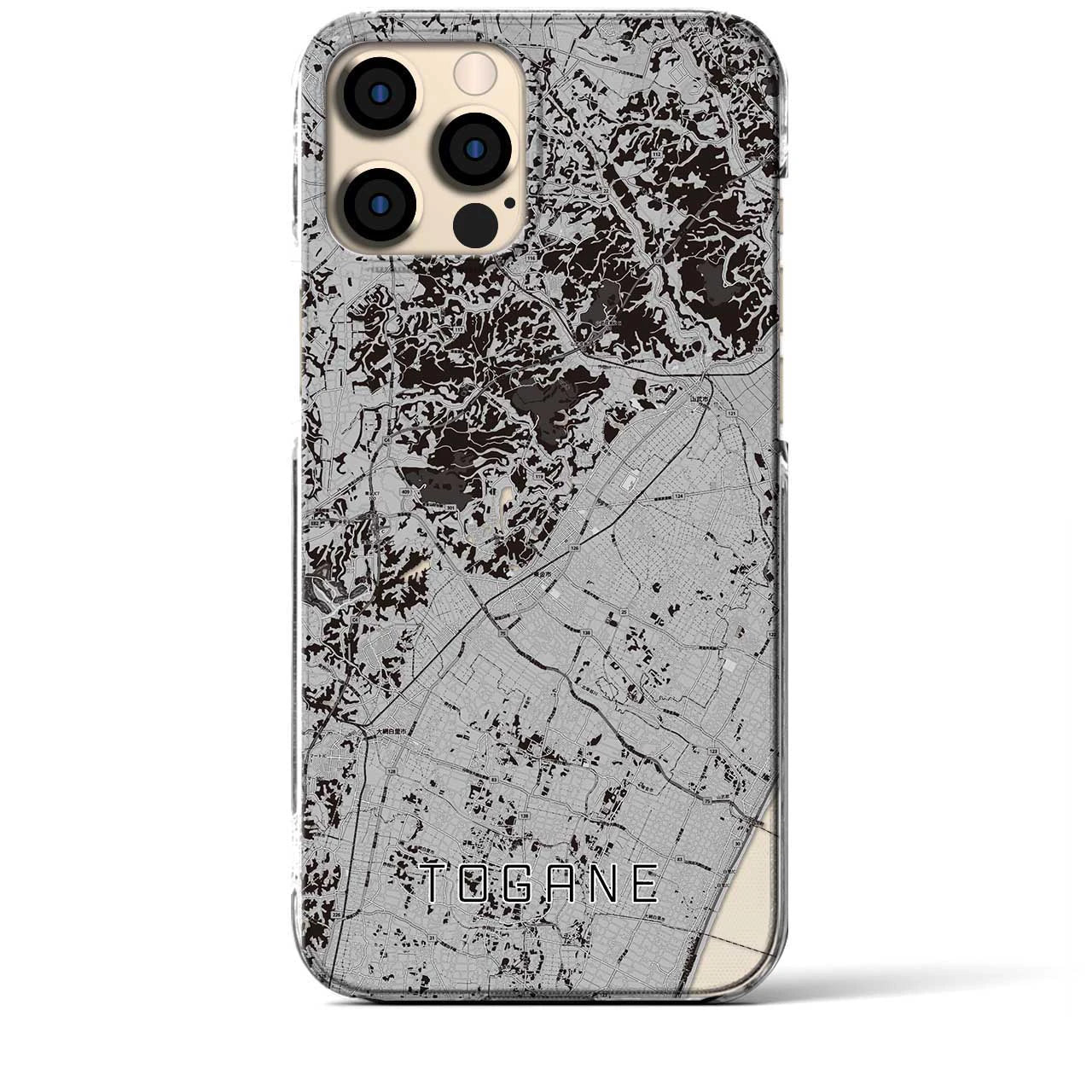 【東金(千葉県)】地図柄iPhoneケース(クリアタイプ)モノトーン・iPhone 12 Pro Max 用