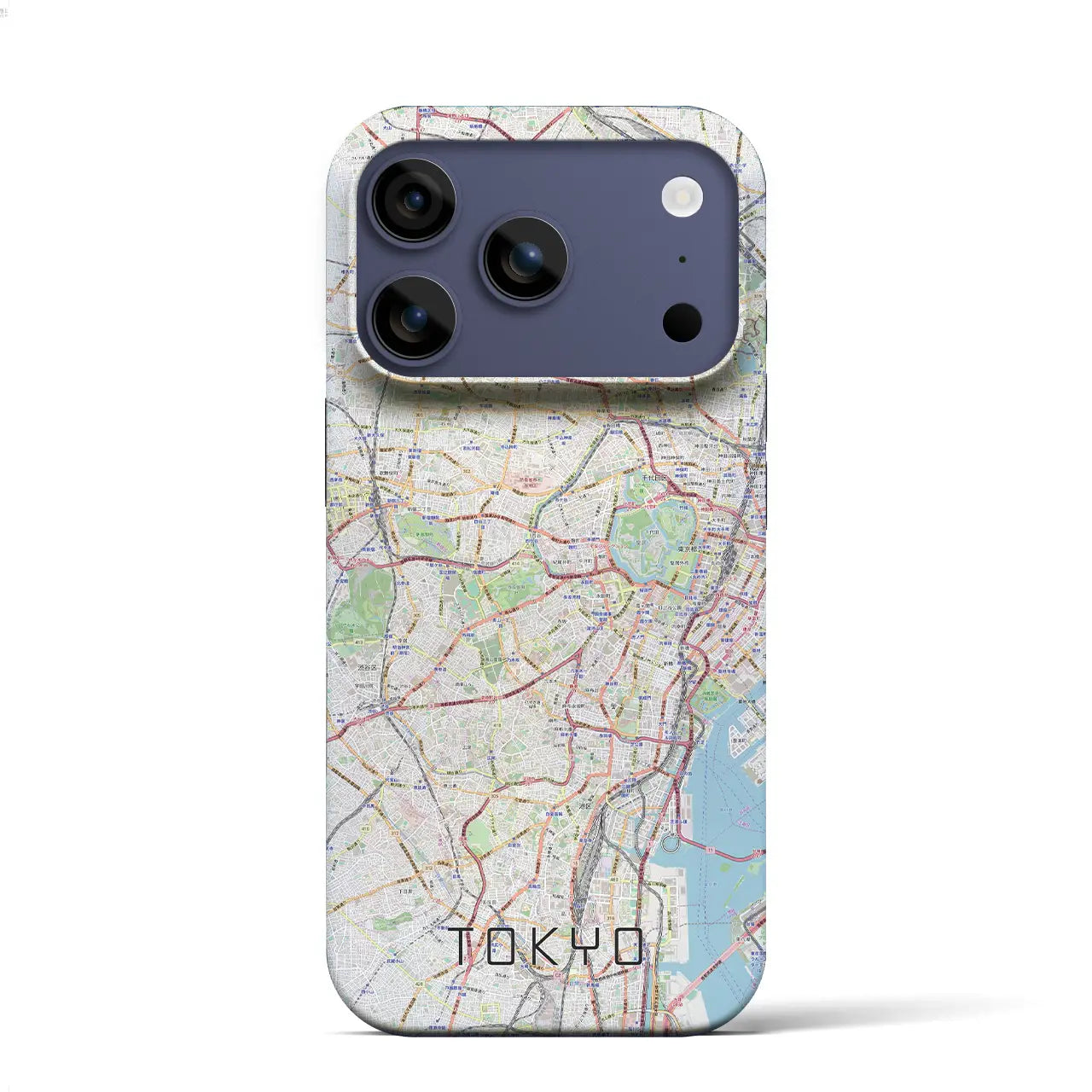 【東京2(東京都)】地図柄iPhoneケース(バックカバータイプ)ナチュラル・iPhone 17 Pro Max 用