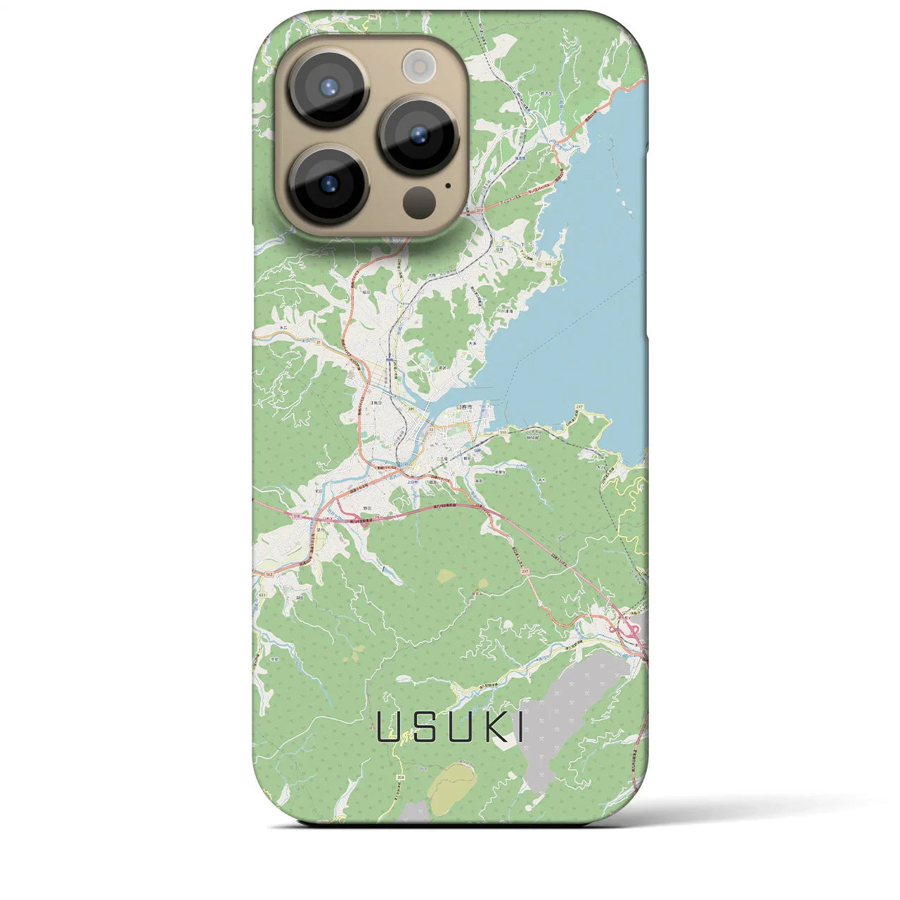 【臼杵(大分県)】地図柄iPhoneケース(バックカバータイプ)