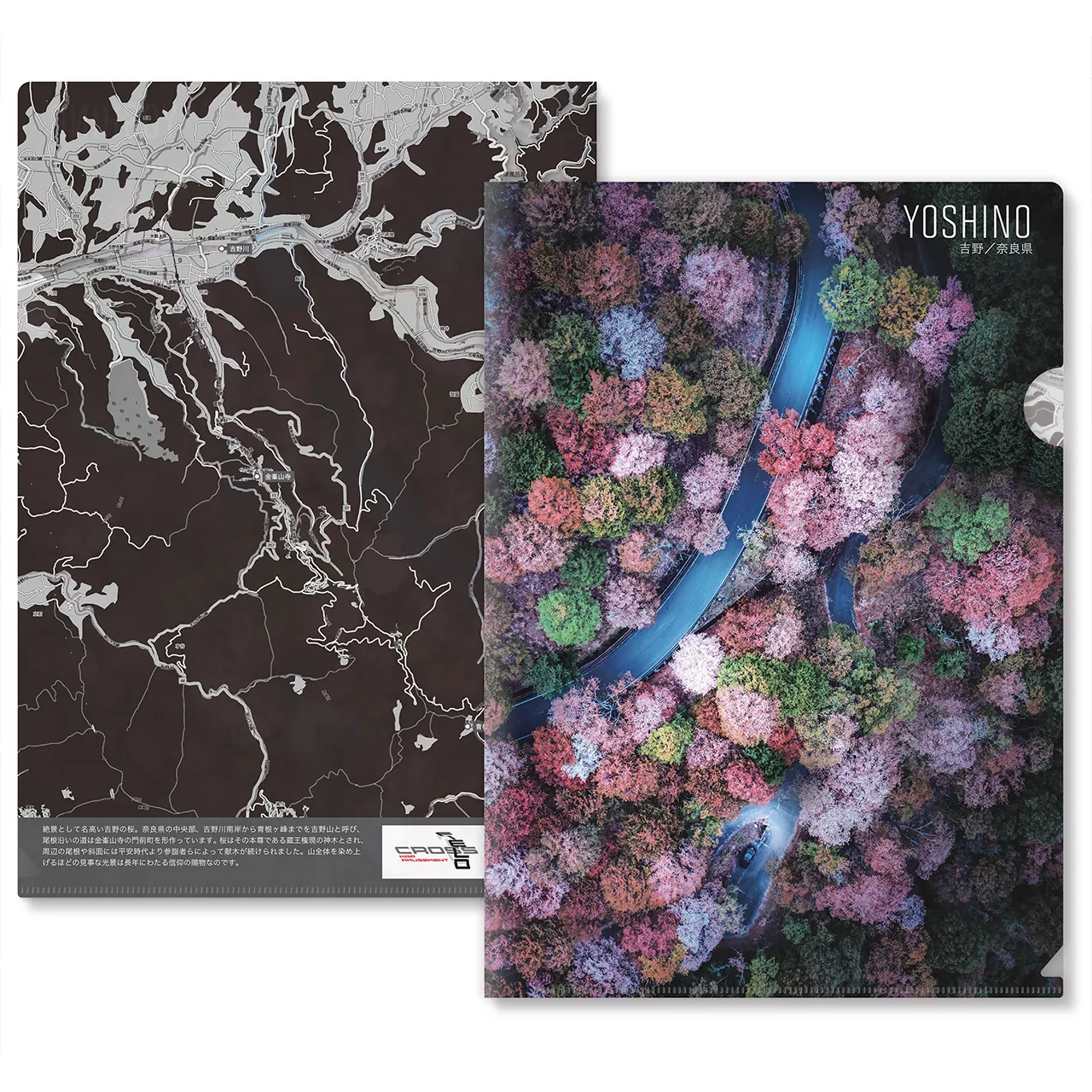 【Map World】クリアファイル12枚セットC