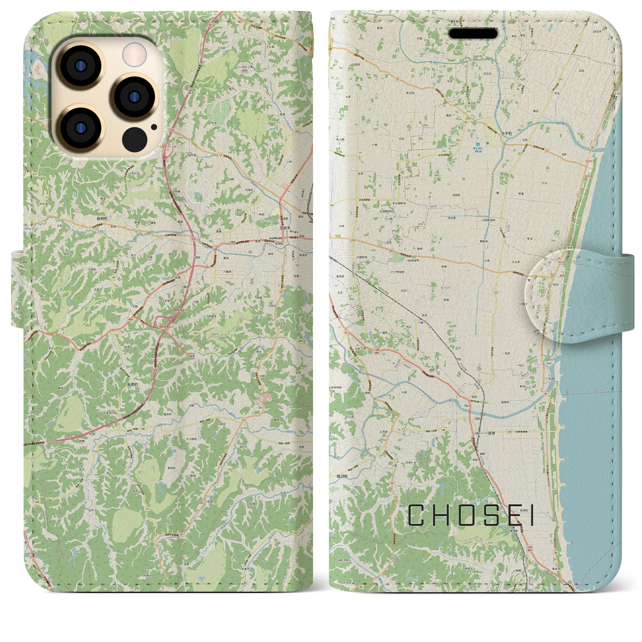 【長生(千葉県)】地図柄iPhoneケース(手帳タイプ)ナチュラル・iPhone 12 Pro Max 用