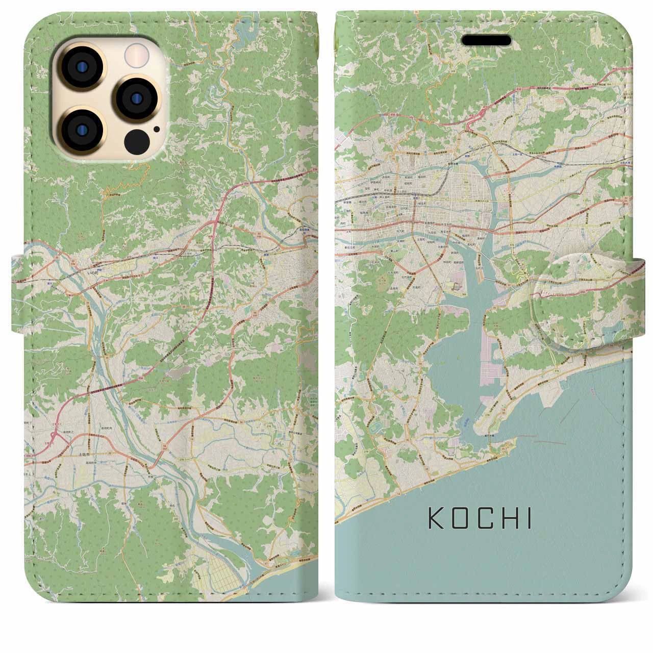 【高知(高知県)】地図柄iPhoneケース(手帳タイプ)ナチュラル・iPhone 12 Pro Max 用