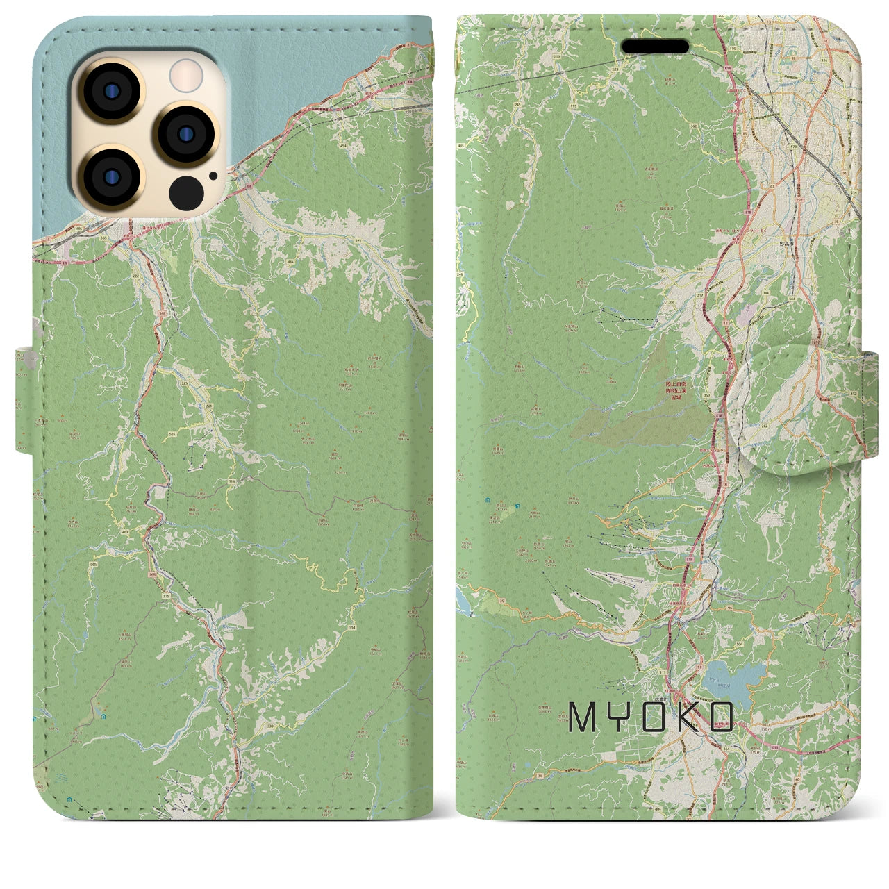 【妙高(新潟県)】地図柄iPhoneケース(手帳タイプ)ナチュラル・iPhone 12 Pro Max 用