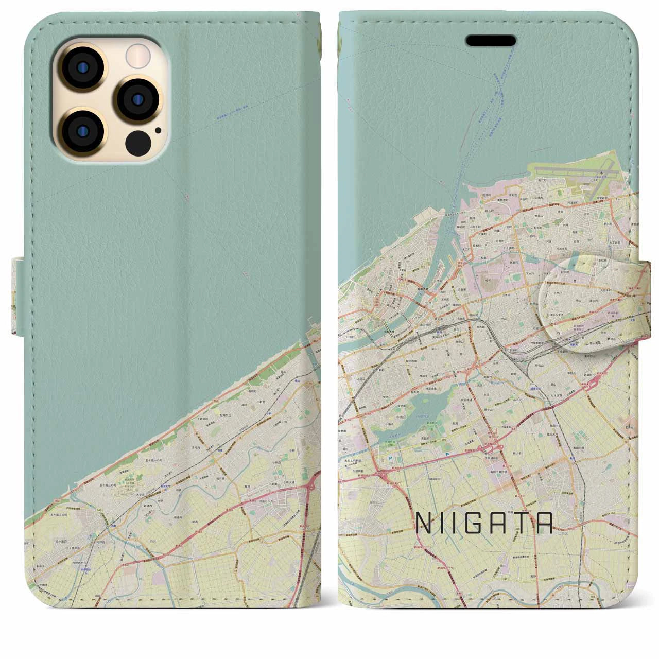 【新潟(新潟県)】地図柄iPhoneケース(手帳タイプ)ナチュラル・iPhone 12 Pro Max 用