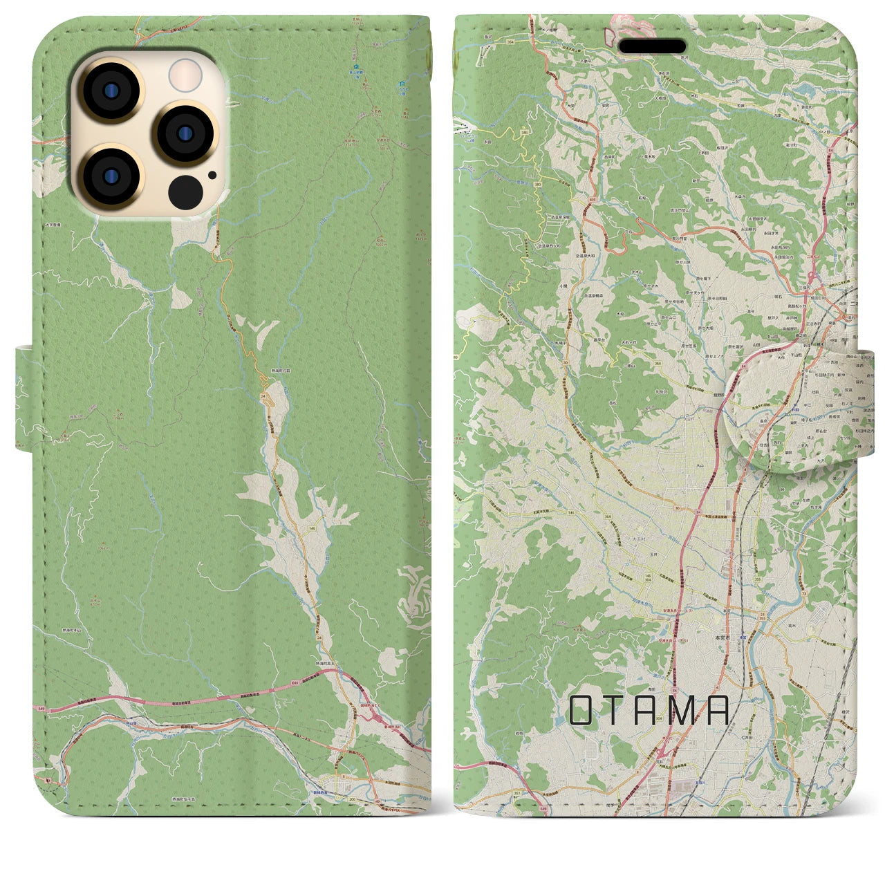 【大玉(福島県)】地図柄iPhoneケース(手帳タイプ)ナチュラル・iPhone 12 Pro Max 用