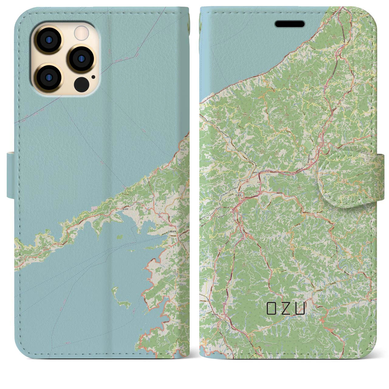 【大洲(愛媛県)】地図柄iPhoneケース(手帳タイプ)ナチュラル・iPhone 12 Pro Max 用