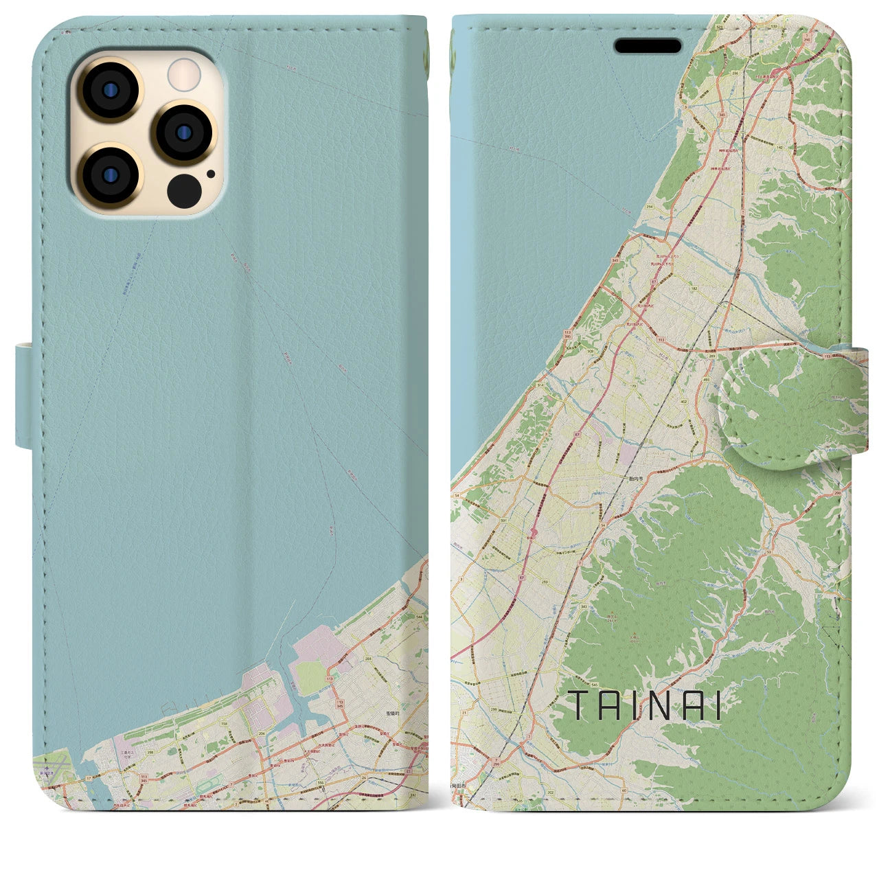 【胎内(新潟県)】地図柄iPhoneケース(手帳タイプ)ナチュラル・iPhone 12 Pro Max 用