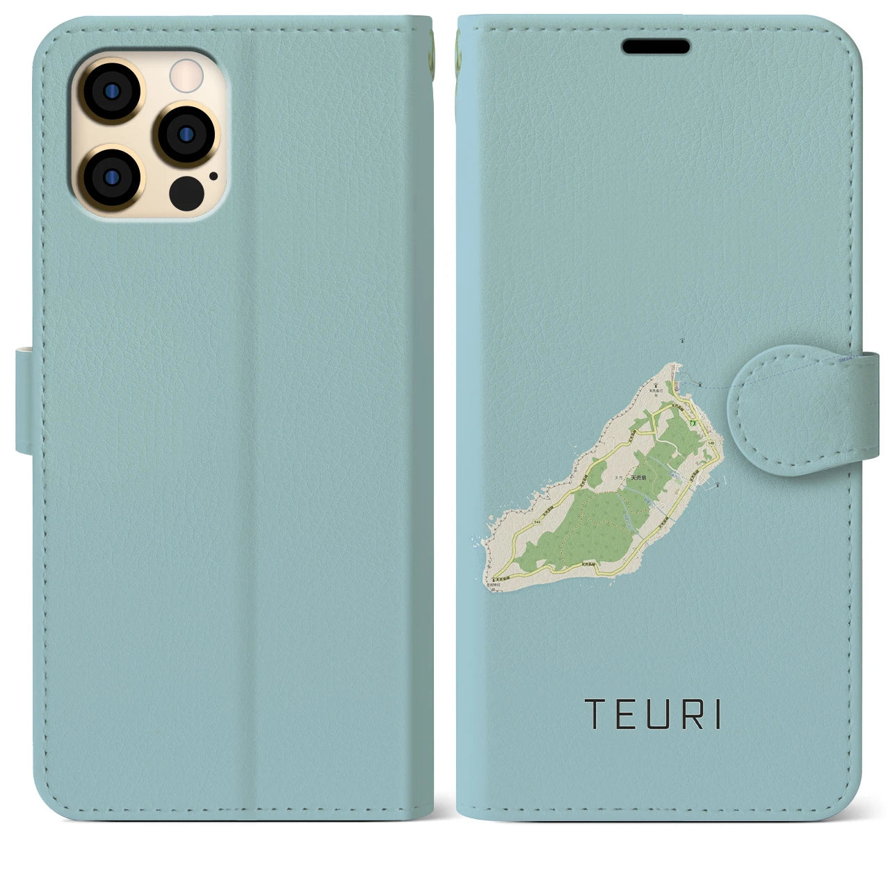 【天売(北海道)】地図柄iPhoneケース(手帳タイプ)ナチュラル・iPhone 12 Pro Max 用
