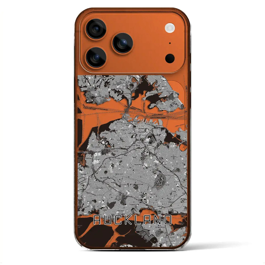【オークランド(ニュージーランド)】地図柄iPhoneケース(クリアタイプ)モノトーン・iPhone 17 Pro Max 用