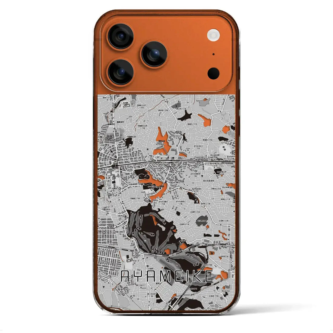 【菖蒲池(奈良県)】地図柄iPhoneケース(クリアタイプ)